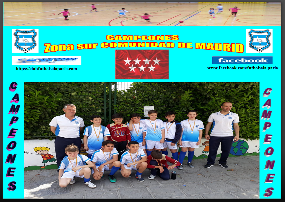 Campeones alevin zona sur